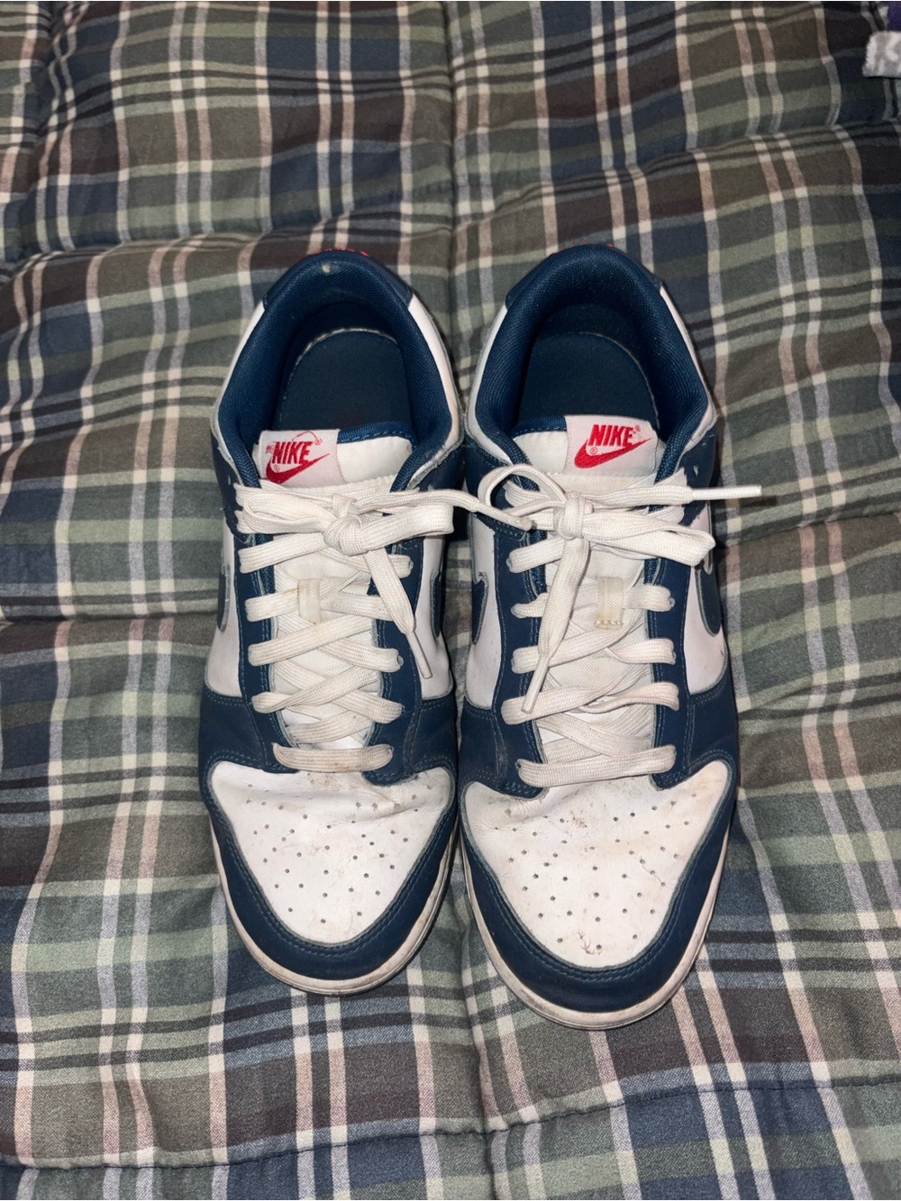 Nike Dunk Low Valerian Blue